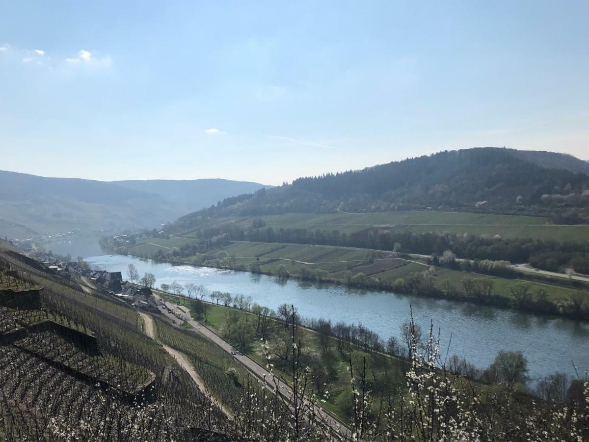 Ferienwohnungen Eberhard, Altes Winzerhaus Bullay Exterior foto